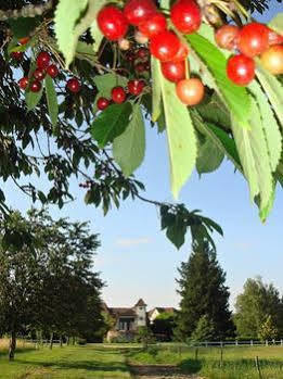 Domaine De Borie Chambres D'Hotes Bretenoux Eksteriør bilde